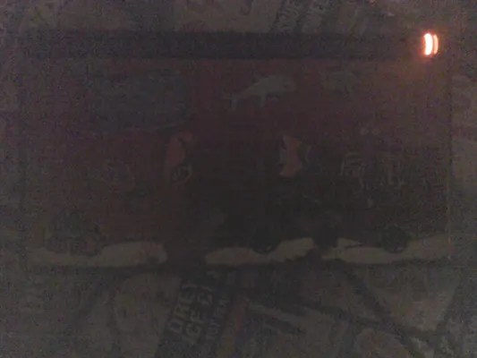Would a 3DS game work with a Nintendo DS Lite? Would a 3DS game (oh I don't know, let's say Gravity Falls Legend of the Gnome Gemulets) work with a Nintendo DS Lite? (See picture) Please, only tell me if you truly know! Would a 3DS game work with a Nintendo DS Lite? Would a 3DS game (oh I don't know, let's say Gravity Falls Legend of the Gnome Gemulets) work with a Nintendo DS Lite? (See picture) Please, only tell me if you truly know!