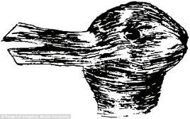 DUCK-RABBIT. You won't be able to see both pictures at the same time