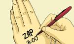 ZAP Page