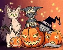 <c:out value='Trick or treating with the Warrior cats!'/>