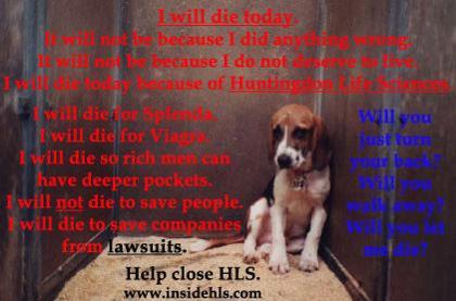 Animal Abuse Needs To STOP!!'s Photo