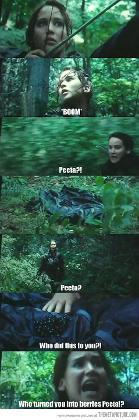 hunger games fans only's Photo