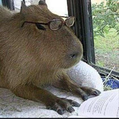 Capybara's Photo