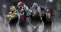 Which Ninja Turtle is your favourite .