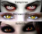 Which is better Werewolves or Vampires?