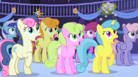 Best background pony is?
