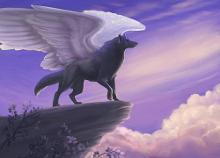 Angel Wolf