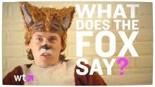 What does the fox say 