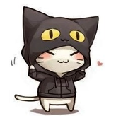 Cat hoodie