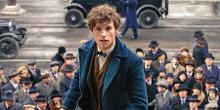 Newt Scamander (Fantastic Beasts and Where to Find Them)