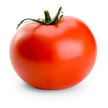 u love Tomatoes