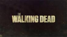 The Walking Dead! Zombies bro!