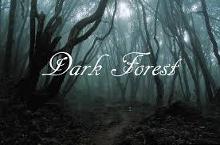 The Dark Forest!!!! >:)