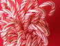Candy Canes