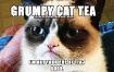 grumpy cat or...