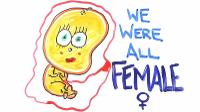 We were all female
