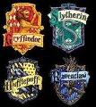 What Harry Potter House are you in? (2)