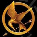 Which Hunger Games Character are you?