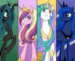 What royal on mlp are you