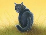 How well do you know Cinderpelt?