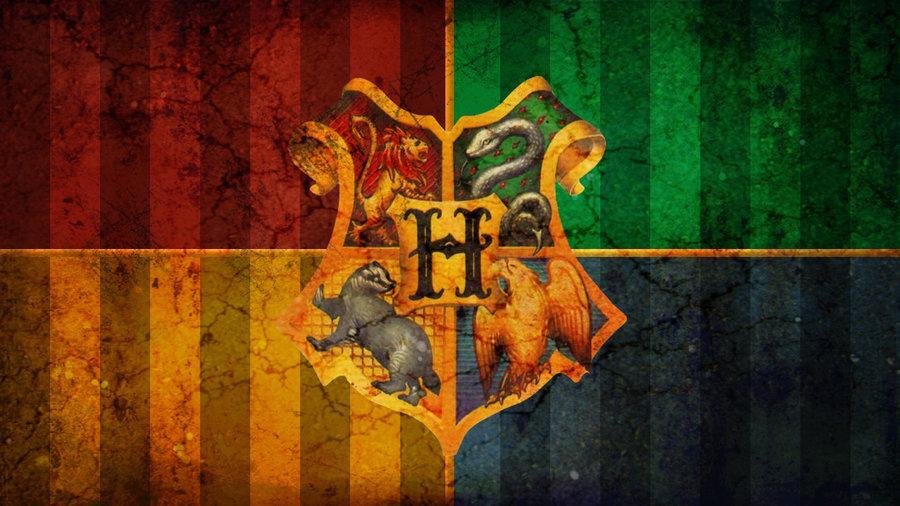 What is your Hogwarts life?