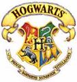 What Hogwarts House Would you be in?