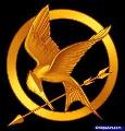 how much do you know the hunger games 2