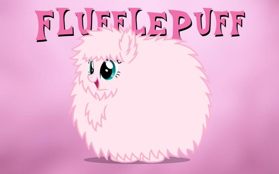 Fluffle puff quiz!