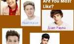 Which One Direction Boy Are You Most Like?