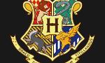 What Hogwarts House Are You? (3)
