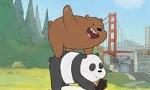 Are you a Bear from We Bare Bears?