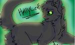 How much do you know about Hollyleaf?