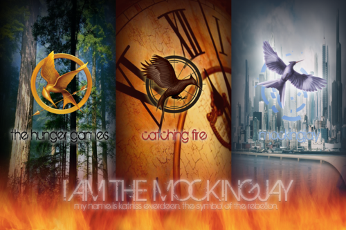 Do you belong in the Hunger Games Fandom?