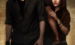who are you in the twilight saga