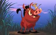 Are you hakuna matata ( it means you have no worries )