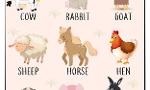 Which Farm Animal Are You? (1)