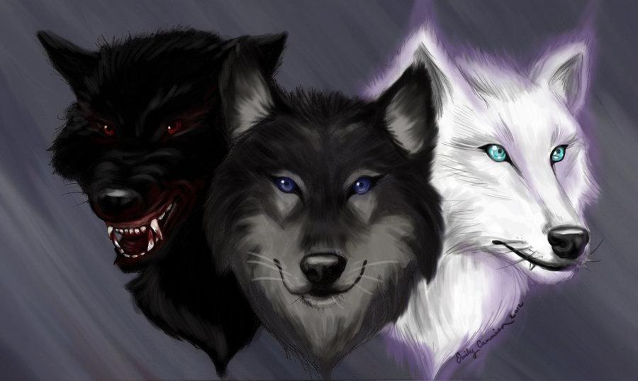 What kind of wolf are you? (3)
