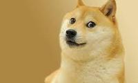 Are You A Doge?