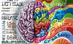 Are you left-brained or right-brained? (1)