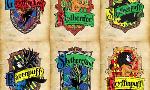 which combined Hogwarts house do you belong in?