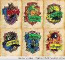 which combined Hogwarts house do you belong in?