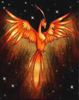 Phoenicia the phoenix