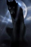 Shadow wolf