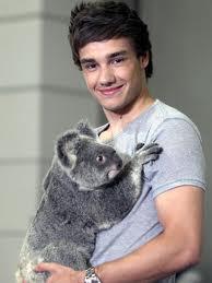 What is the strangest rumour Liam has heard about himself?