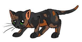 I am a loyal shadowclan warrior. My mate is the Shadowclan deputy after Russetfur died. I had three kits but one of them died even though Jayfeather tried to save him. I when on the journey to the Sun-drown place with Brambleclaw. I have to prove my loyalties again and again. My mother is a Thunderclan cat.