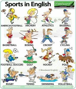 What is your favorite type of sport?