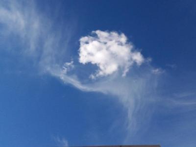 Which cloud type is known for its fluffy appearance and indicates fair weather?