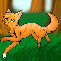 What name did Firestar give to Squirrelpaw?