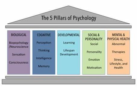 Which of the following is NOT a major area of psychology?