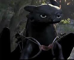 How did Hiccup get Toothless back after his dad caught him?
